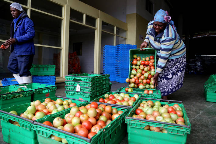 Al MILS la Mostra  per l’ “Anno Internazionale della frutta e verdura”